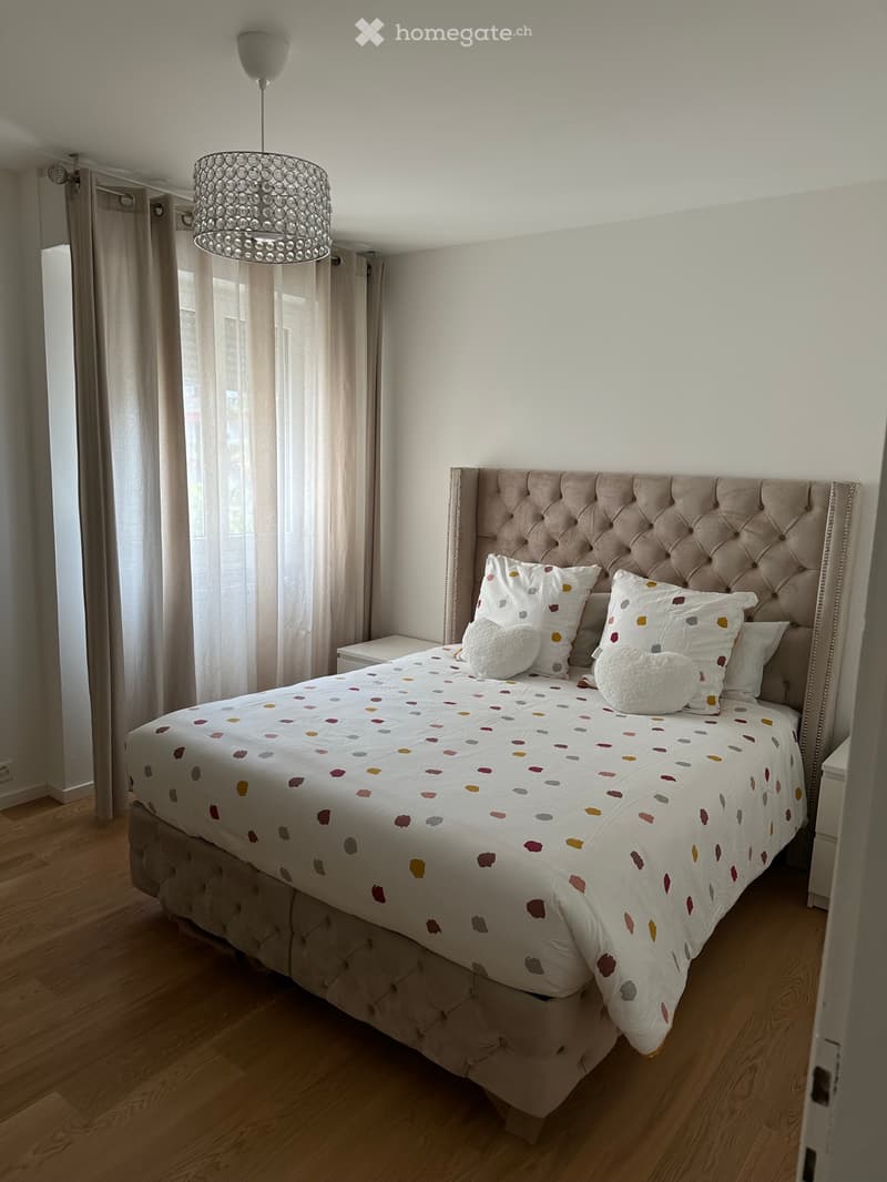 Appartement meublé 3 pièces (5)