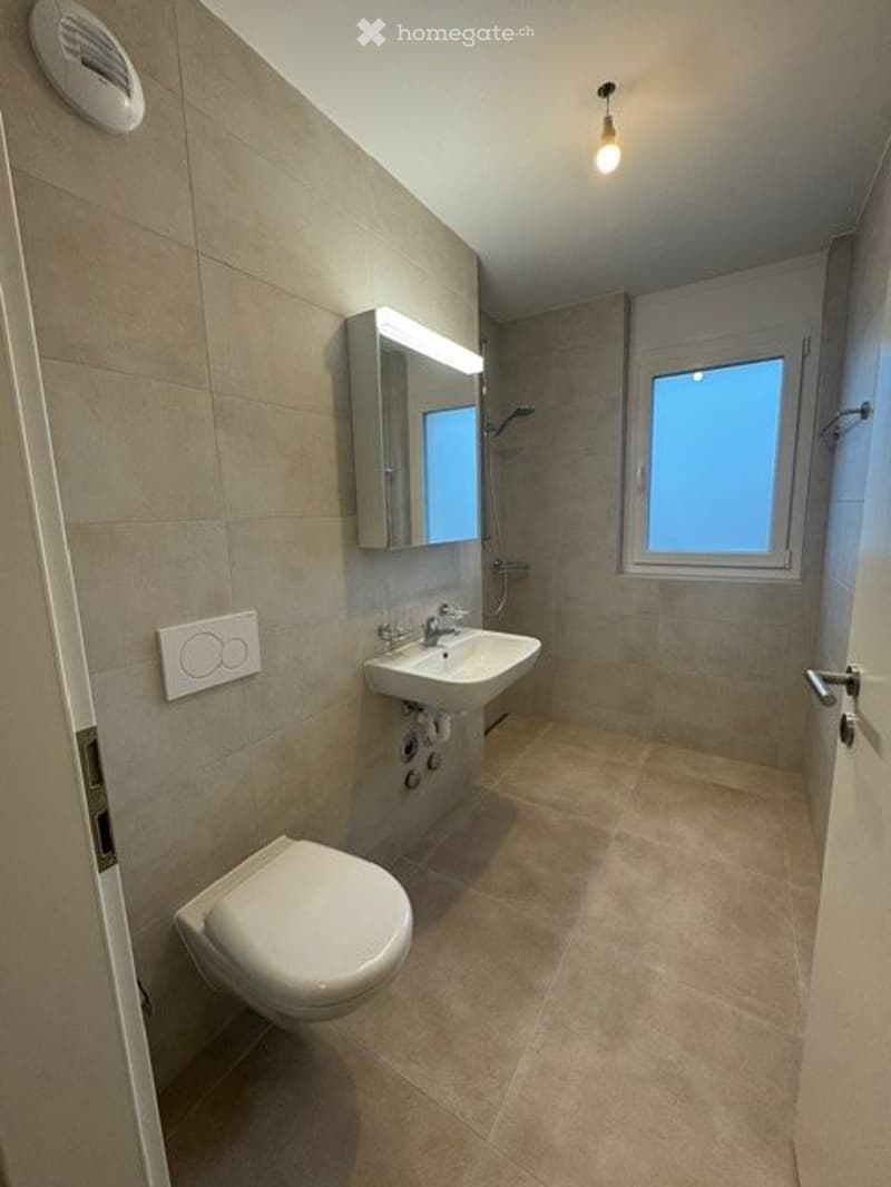Magnifique appartement neuf de 2.5 pièces à louer (4)