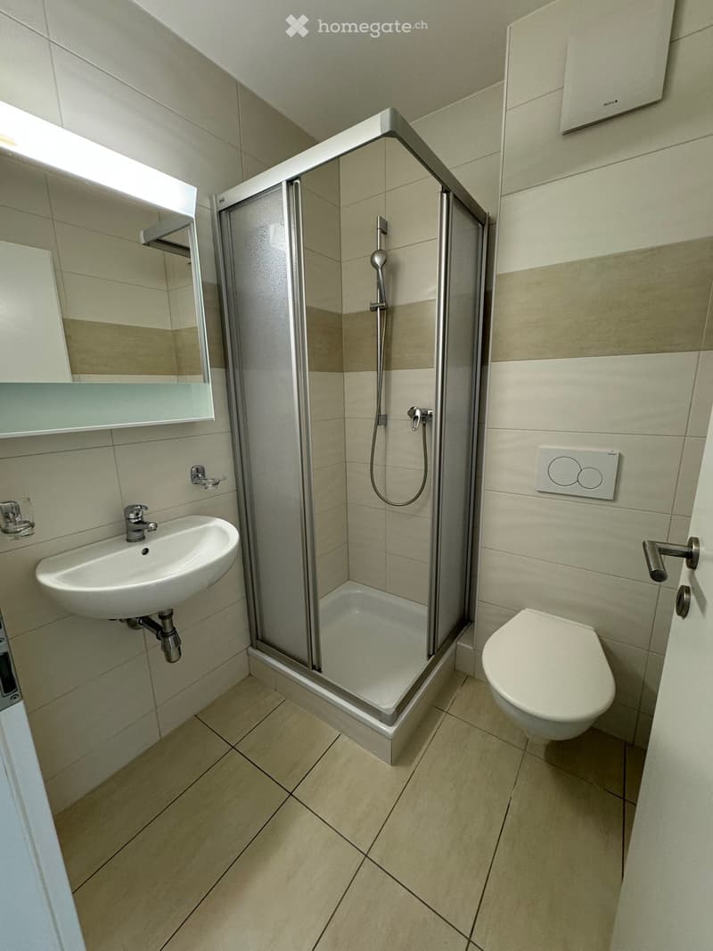 Appartement 4.5 pièces avec jardin et terrasse à louer (2)