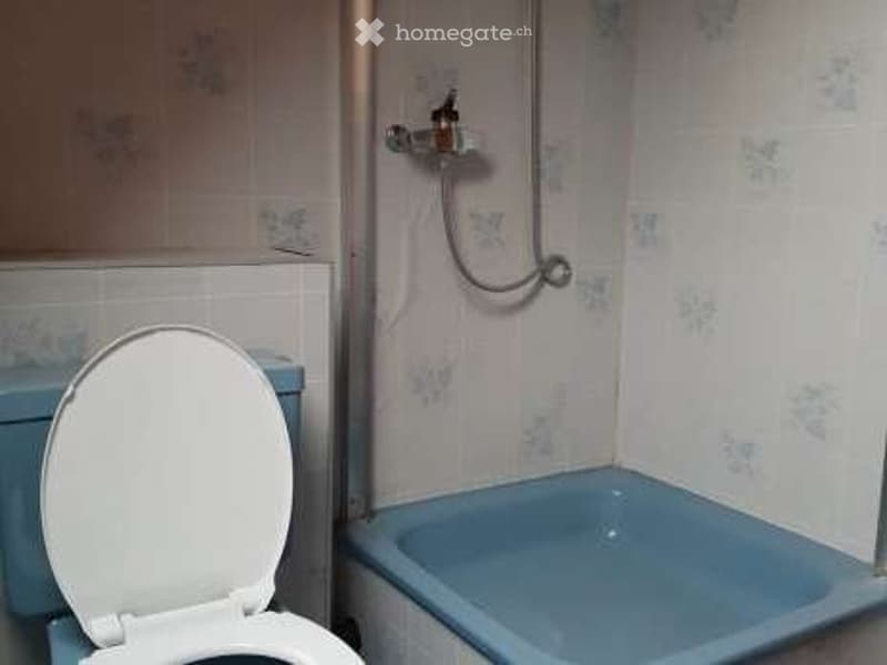 petit appartement 2.5 pces avec jardin - libre de suite (4)
