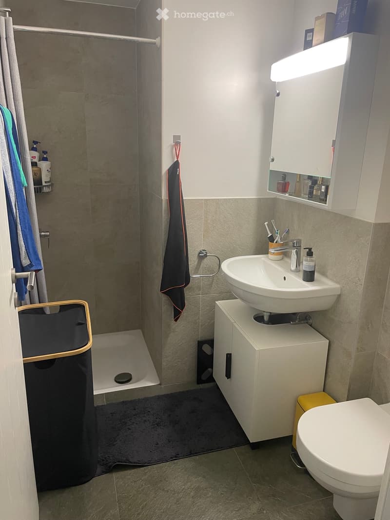 Appartement 4,5p récent à remettre (4)