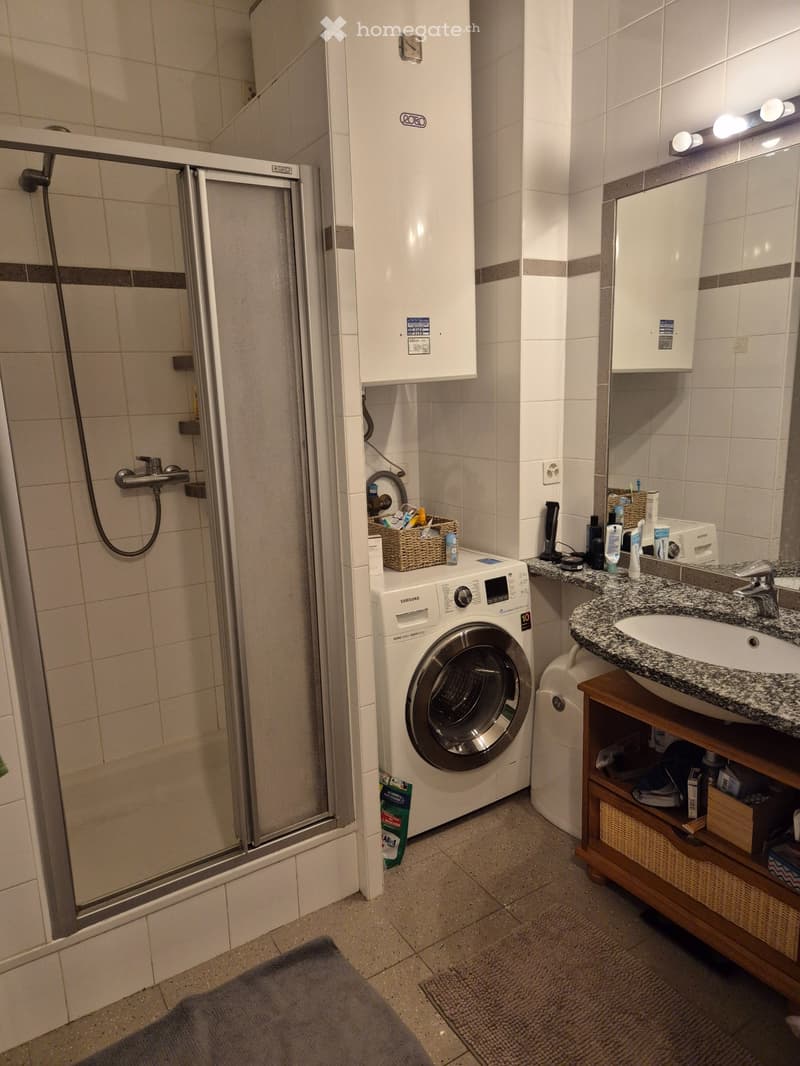 Appartement de 3 pièces - Jonction - Reprise de bail (5)