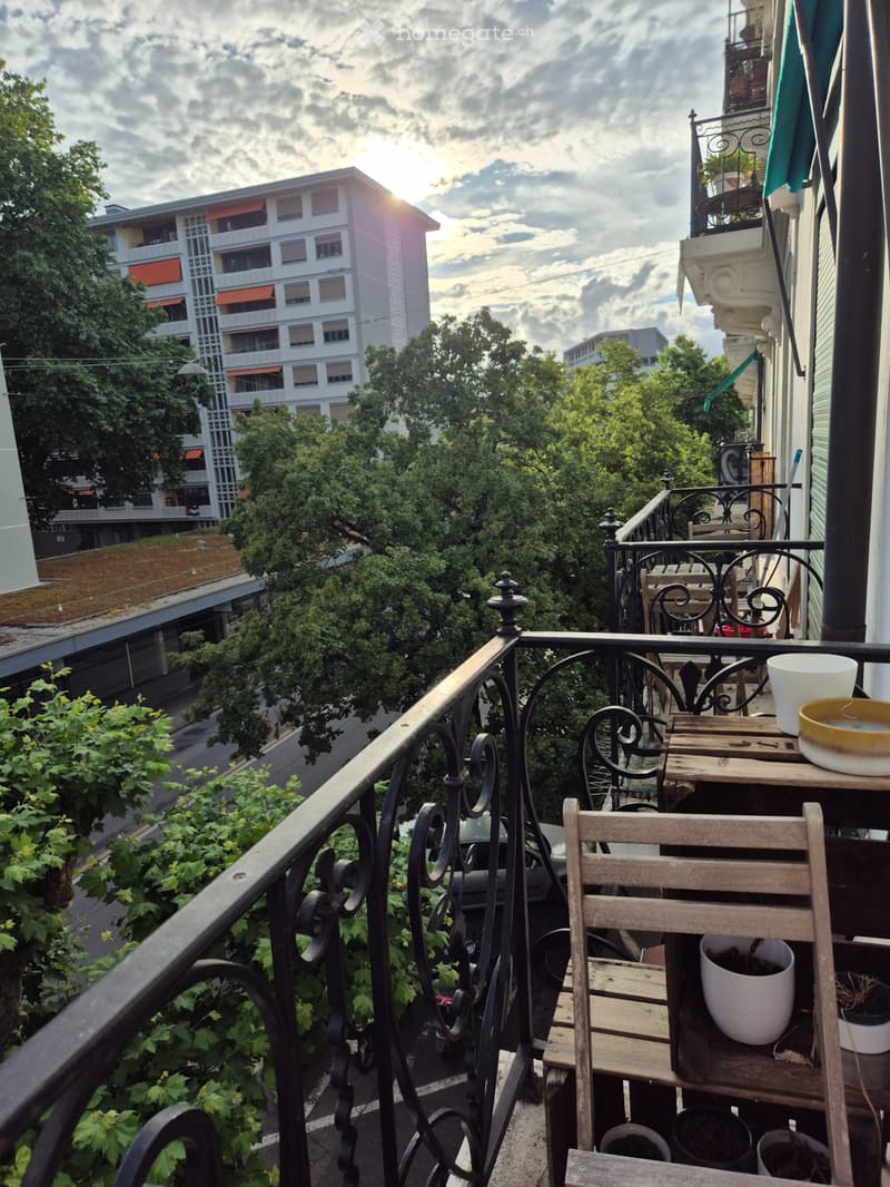 Appartement de 3 pièces - Jonction - Reprise de bail (7)
