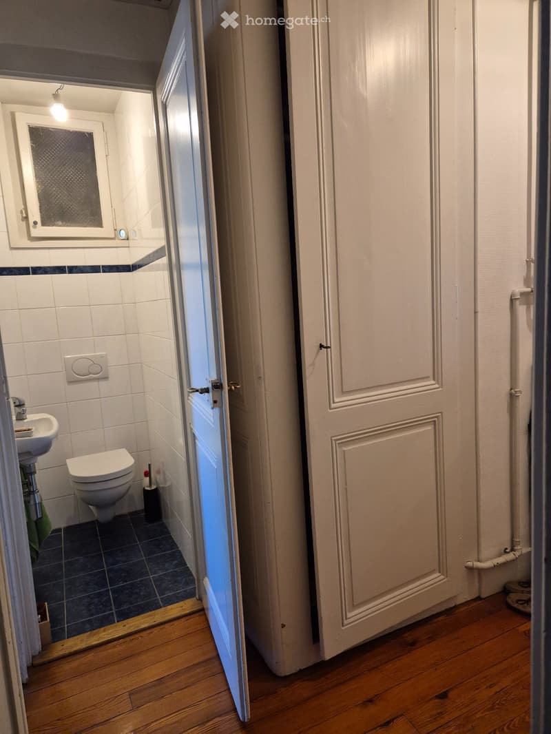 Appartement de 3 pièces - Jonction - Reprise de bail (9)