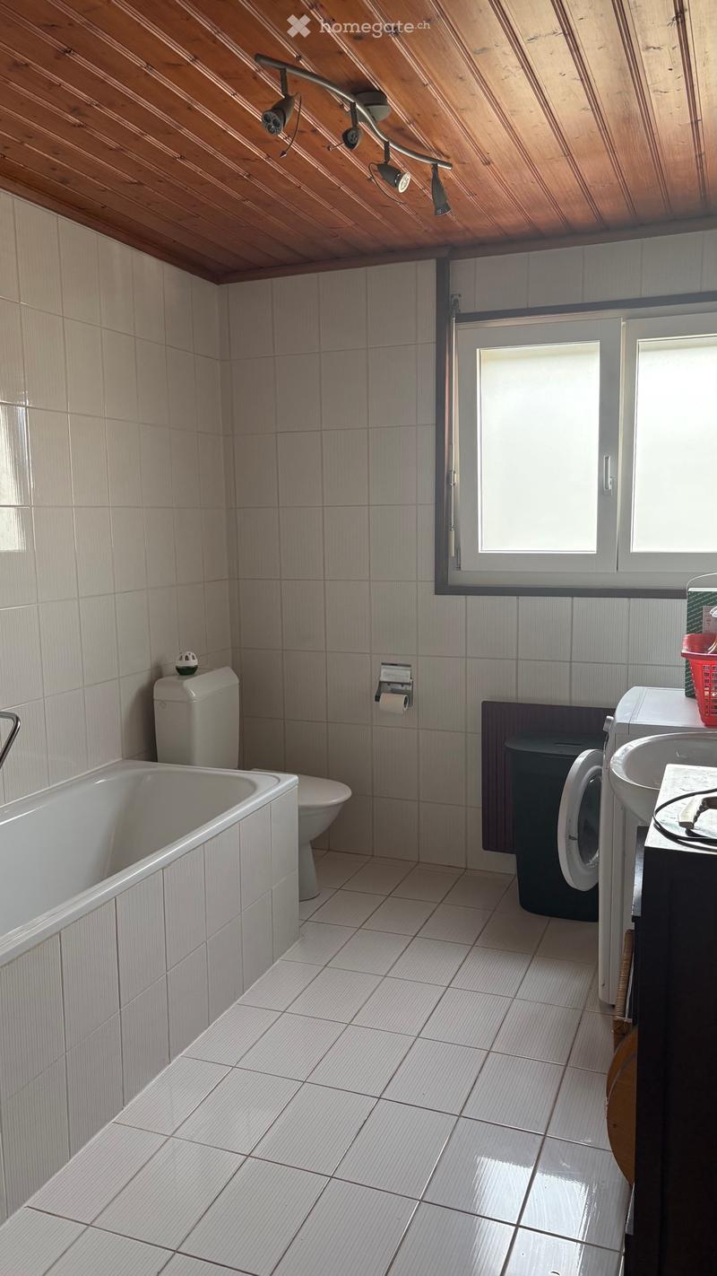 Appartement 5,5 pièces à louer (5)