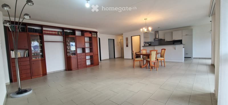 5,5 pièces Lumineux, vue, balcon, ascenseur, garage, cave (2)