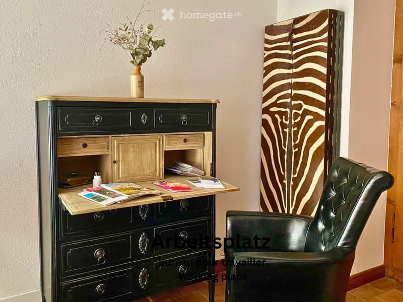 Möbelierte Wohnung - studio meublé - furnished apartment (2)