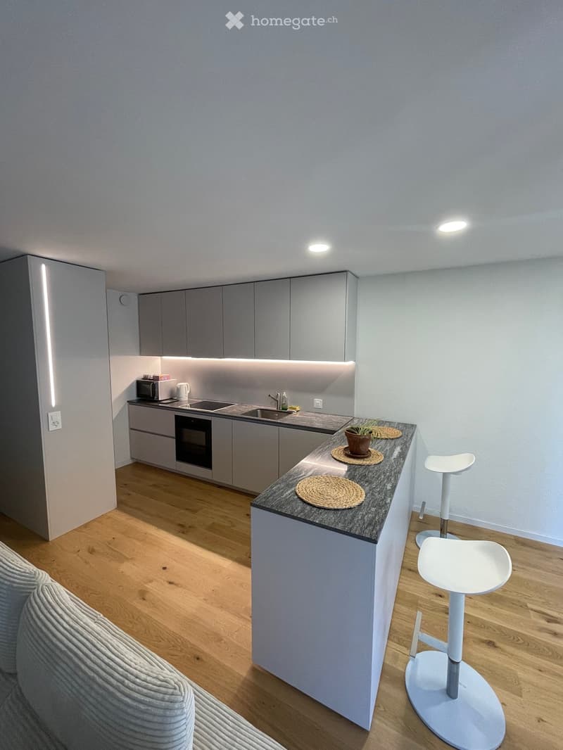 Location Chambre + espace privé à louer  La Chaux-de-Fonds (4)