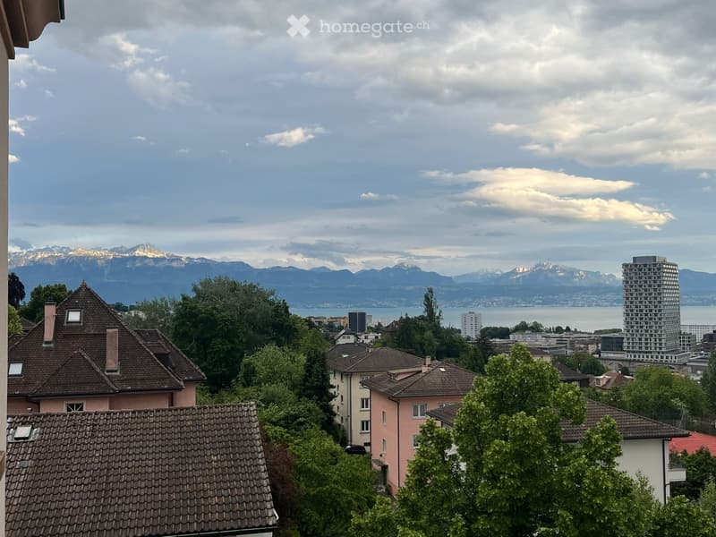 Appartement de 2 pièces ensoleillé (3)