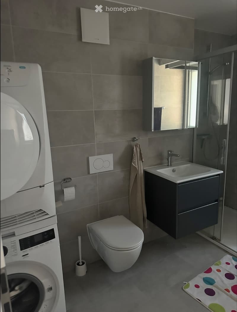 Appartement à louer à ballens (2)