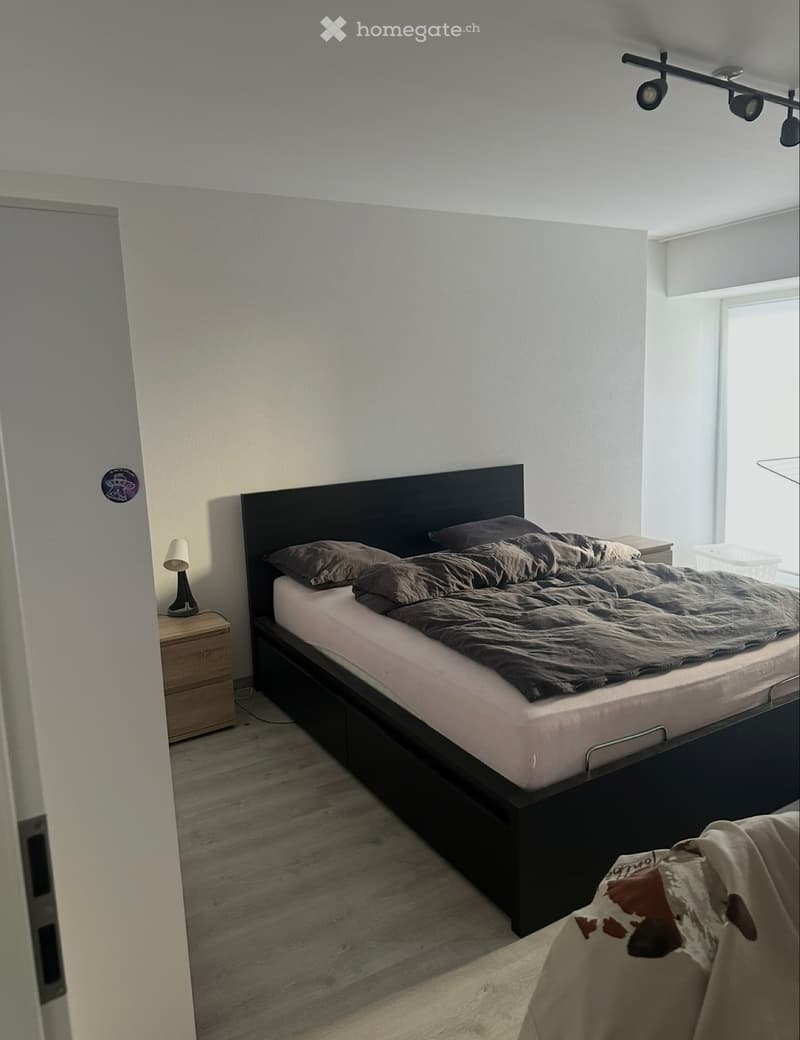 Appartement à louer à ballens (5)
