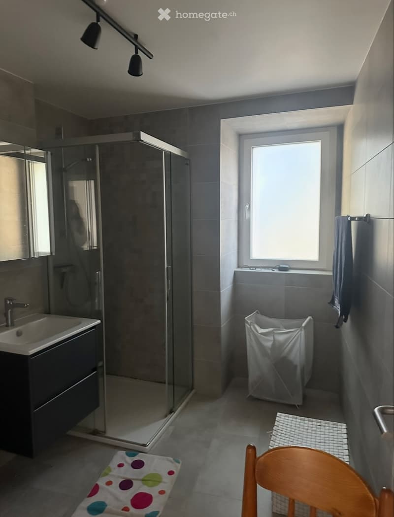 Appartement à louer à ballens (3)
