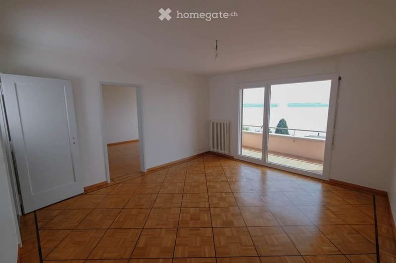 Appartement 3 pièces avec vue dégagée sur le lac (3)