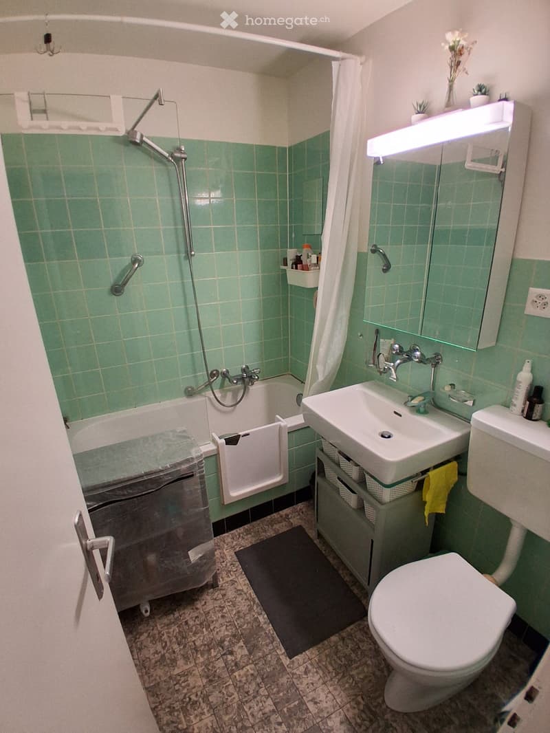 Chambre 15m² à sous-louer juillet ou août (4)