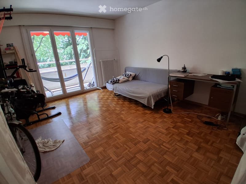 Chambre 15m² à sous-louer juillet ou août (5)