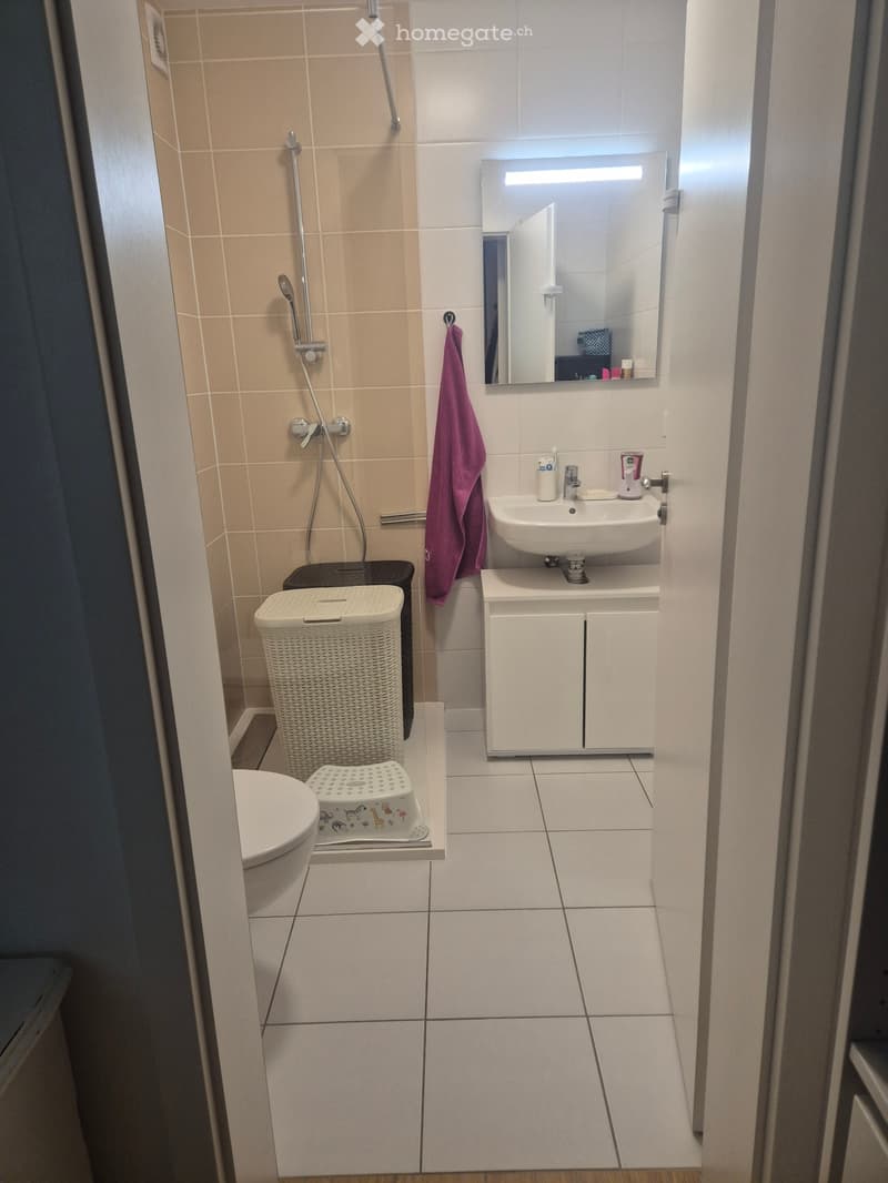 4.5 pièces 110m2 (3)