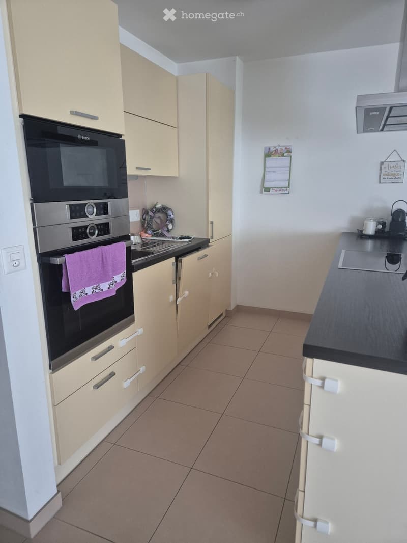 4.5 pièces 110m2 (2)