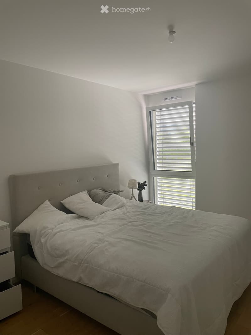 Magnifique 2,5 pièces moderne (1)