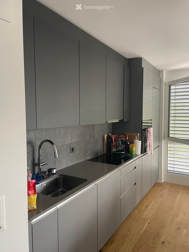 Magnifique 2,5 pièces moderne (3)