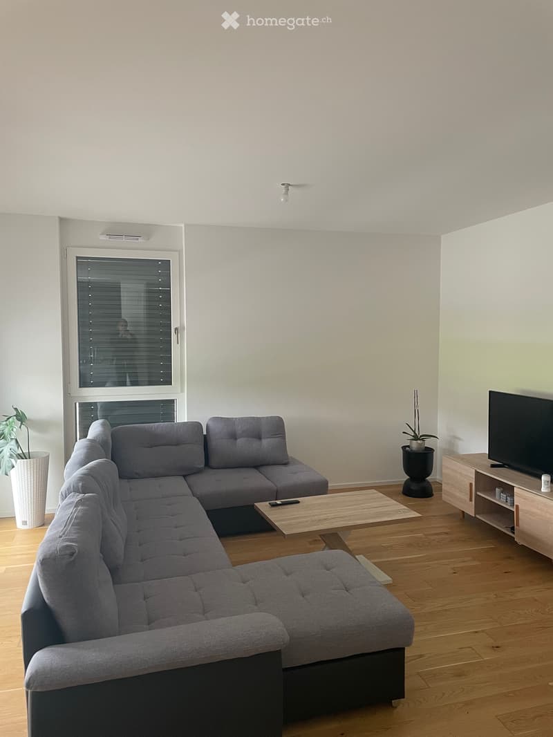 Magnifique 2,5 pièces moderne (2)