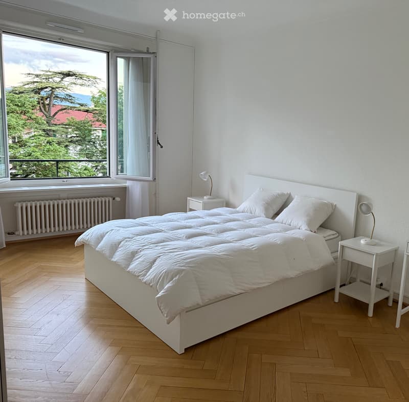 Jolie chambre à louer (1)