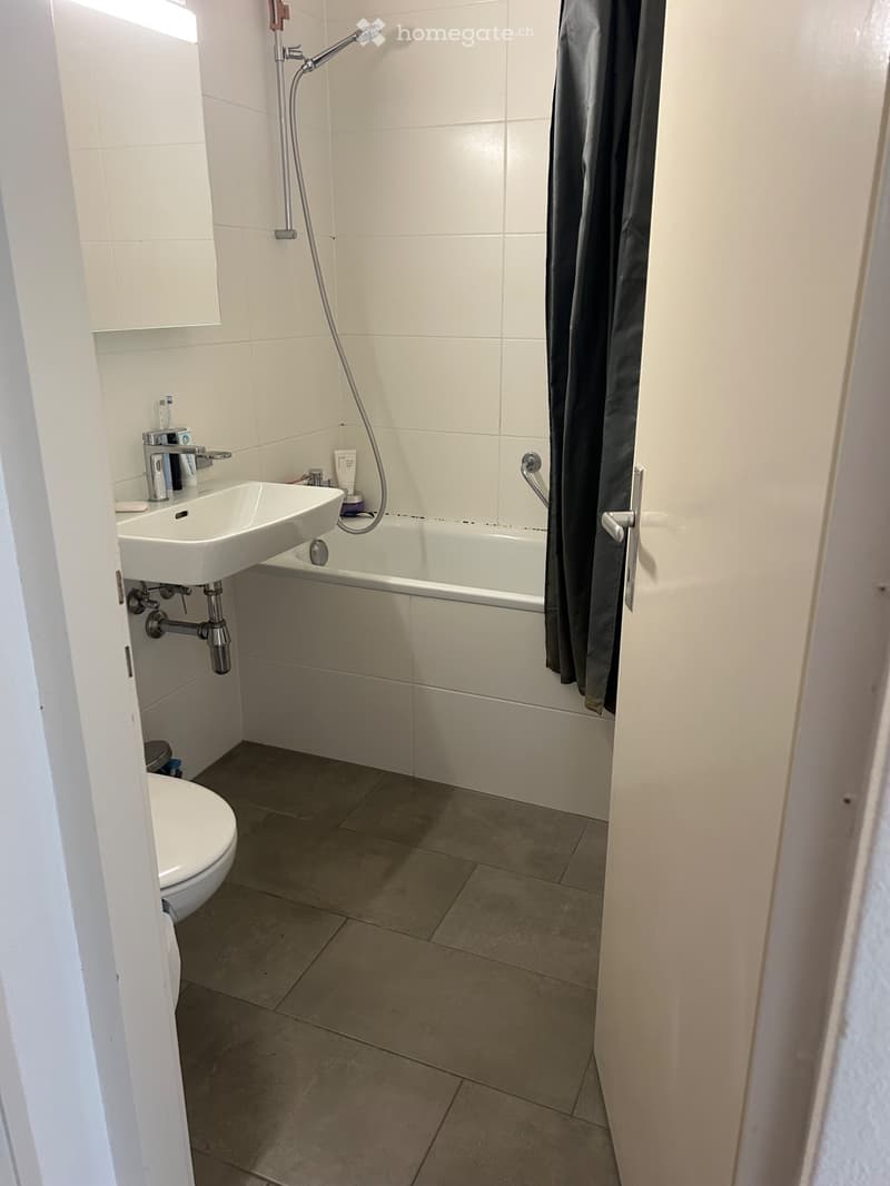 Très bel appartement au dernier étage avec garage (4)