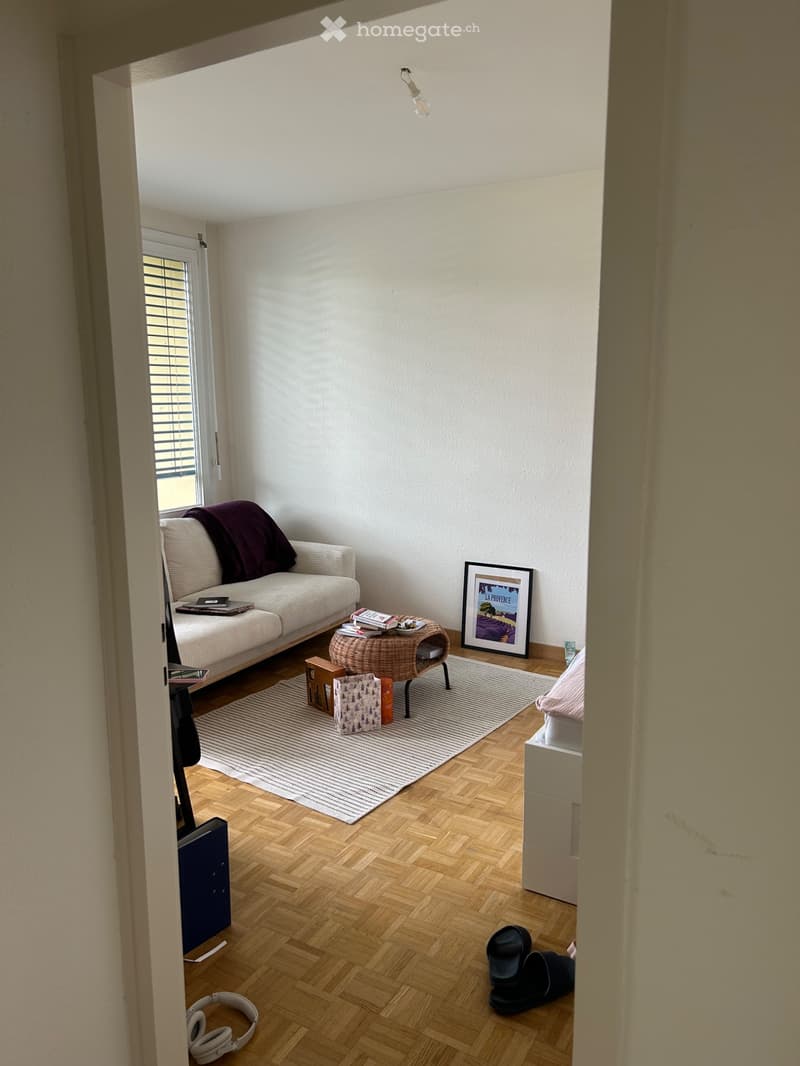Très bel appartement au dernier étage avec garage (5)