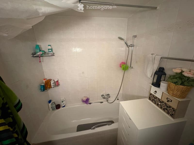 Appartement spacieux 2.5 pièces (5)