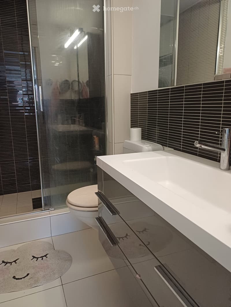 3.5 pièces rénové avec vue, balcon, jardin et box (4)