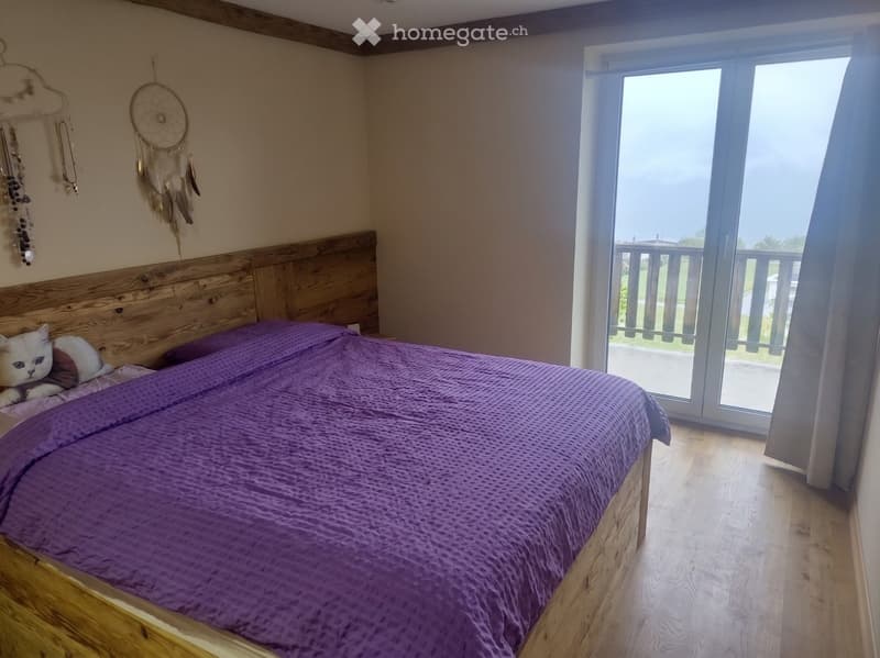 3.5 pièces rénové avec vue, balcon, jardin et box (3)