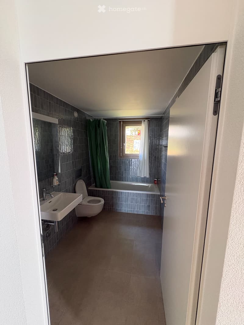 Appartement au coeur de Neuchâtel Vue imprenable sur le lac (5)
