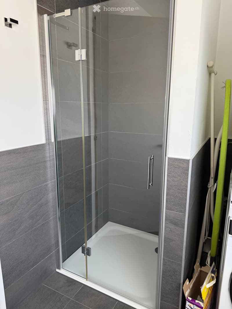 Appartement en attique 4.5 pièces (5)