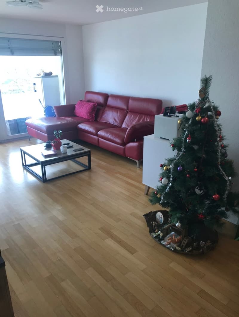 BEL APPARTEMENT ENSOLEILLÉ (4)