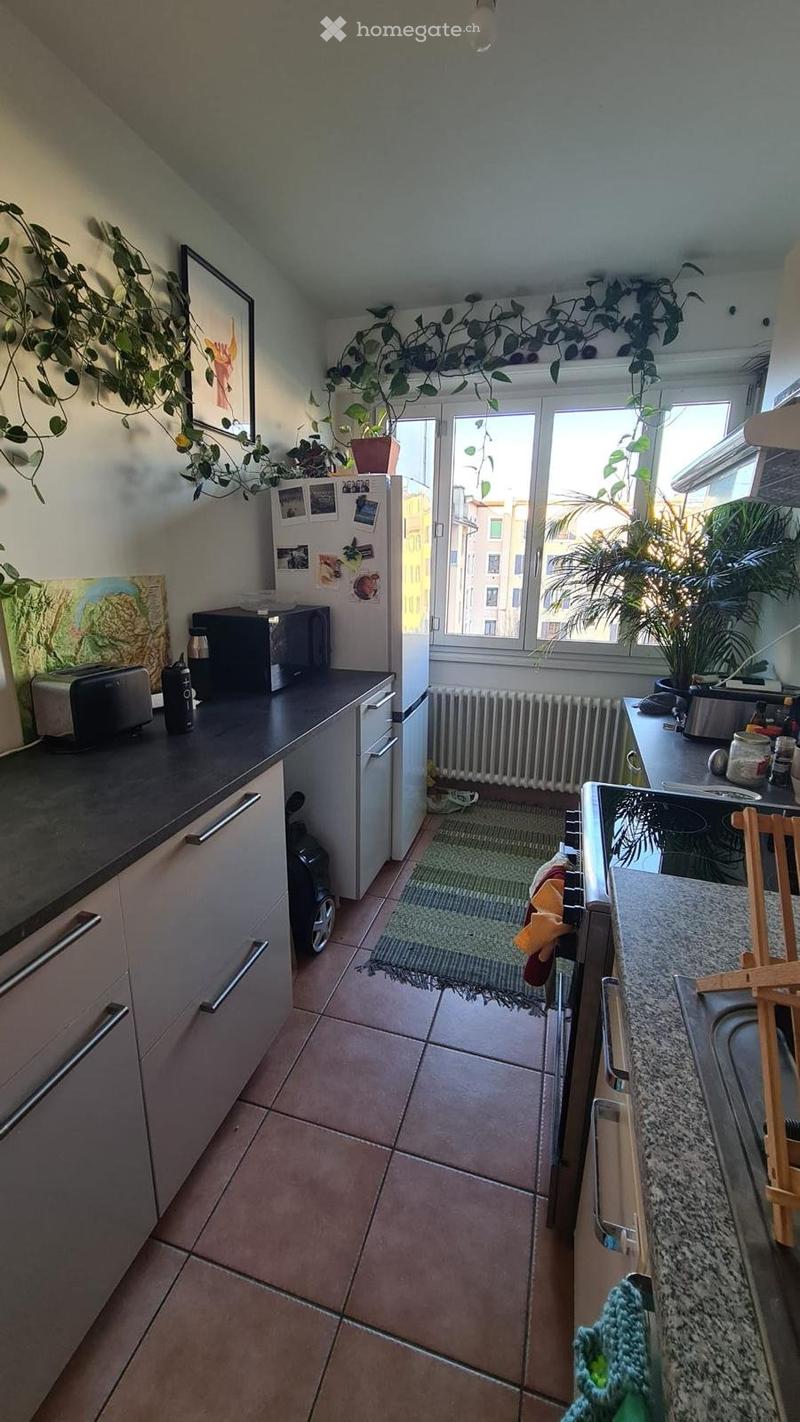 Reprise de bail - appartement 70m2 (3)