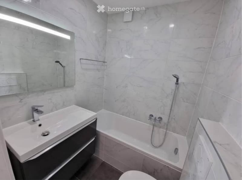 Appartement 1.5 (4)