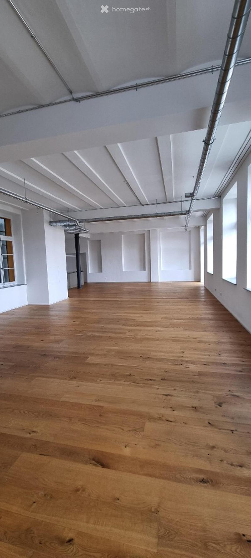2-Zi-Loft - Wohnen mit Charakter in historischem Ambiente (1)