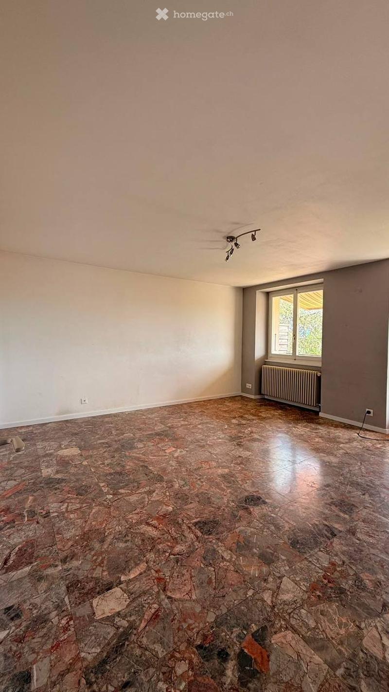 Appartement 4,5 pièces , quartier calme (3)