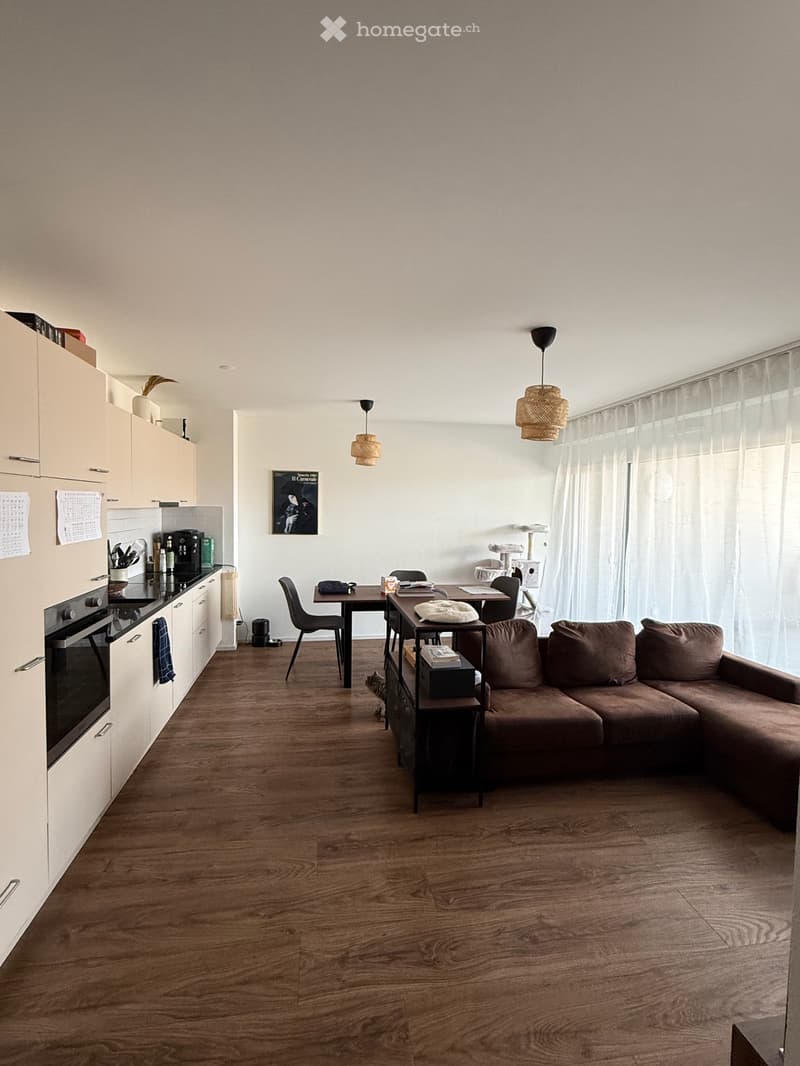 Joli 2.5 pièces avec grande terrasse (1)