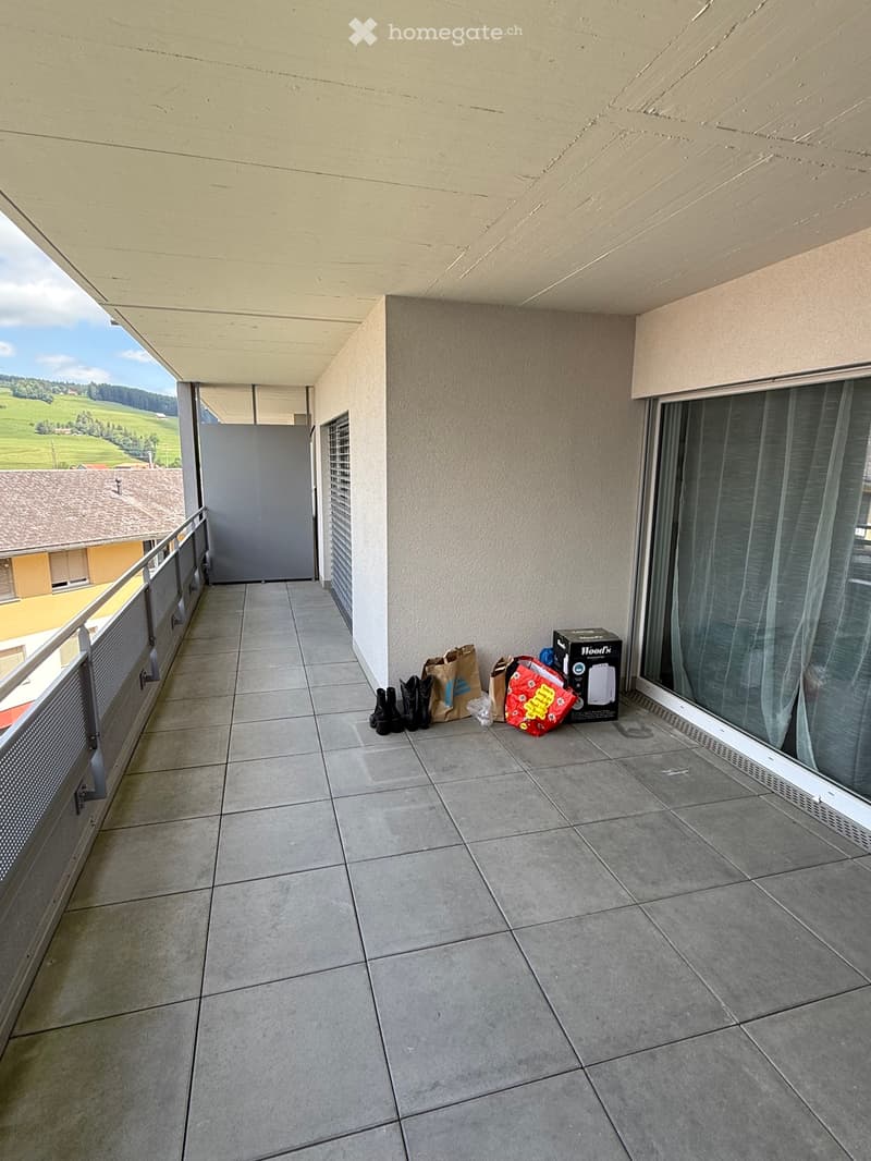 Joli 2.5 pièces avec grande terrasse (4)