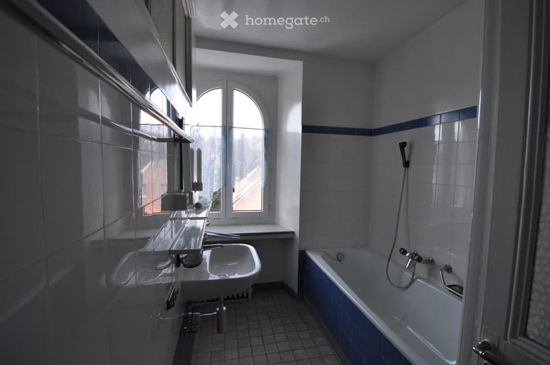 Magnifique maison de maître dans un quartier calme (8)