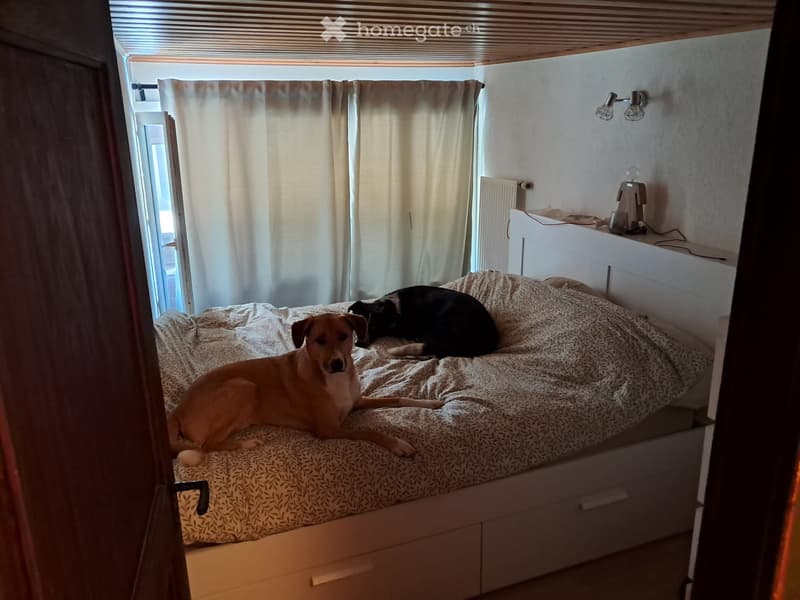 Reprise de bail Charmant appartement 3.5.p 15 juillet 2026 (3)