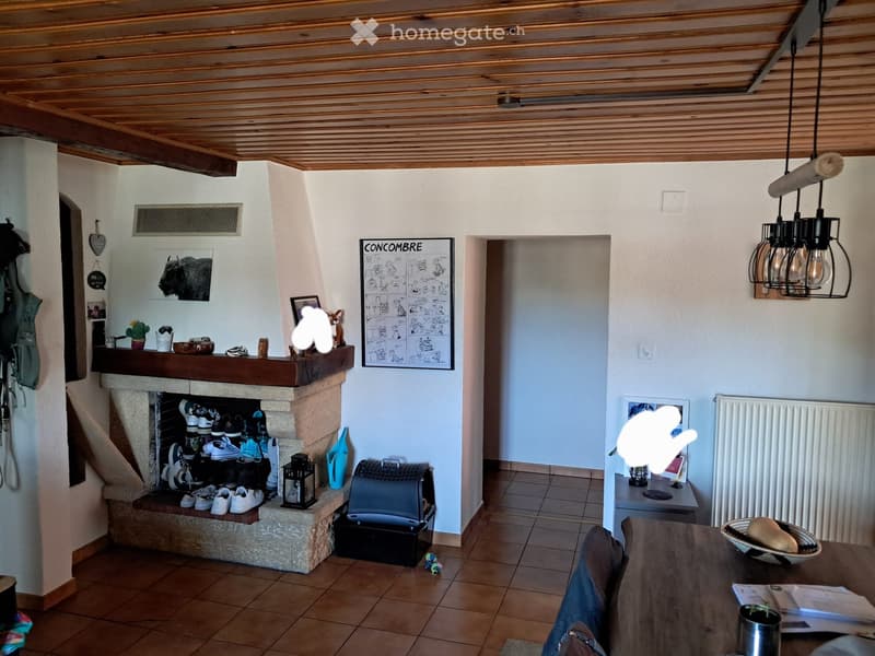 Reprise de bail Charmant appartement 3.5.p 15 juillet 2026 (5)