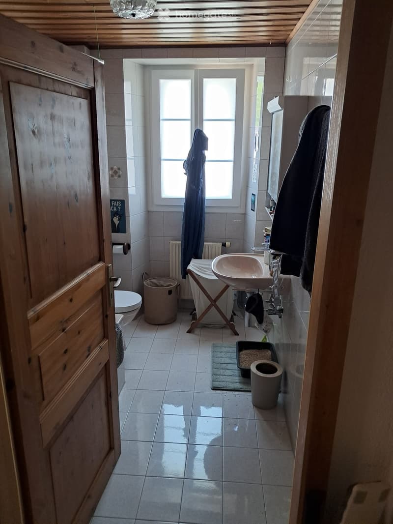 Reprise de bail Charmant appartement 3.5.p 15 juillet 2026 (4)
