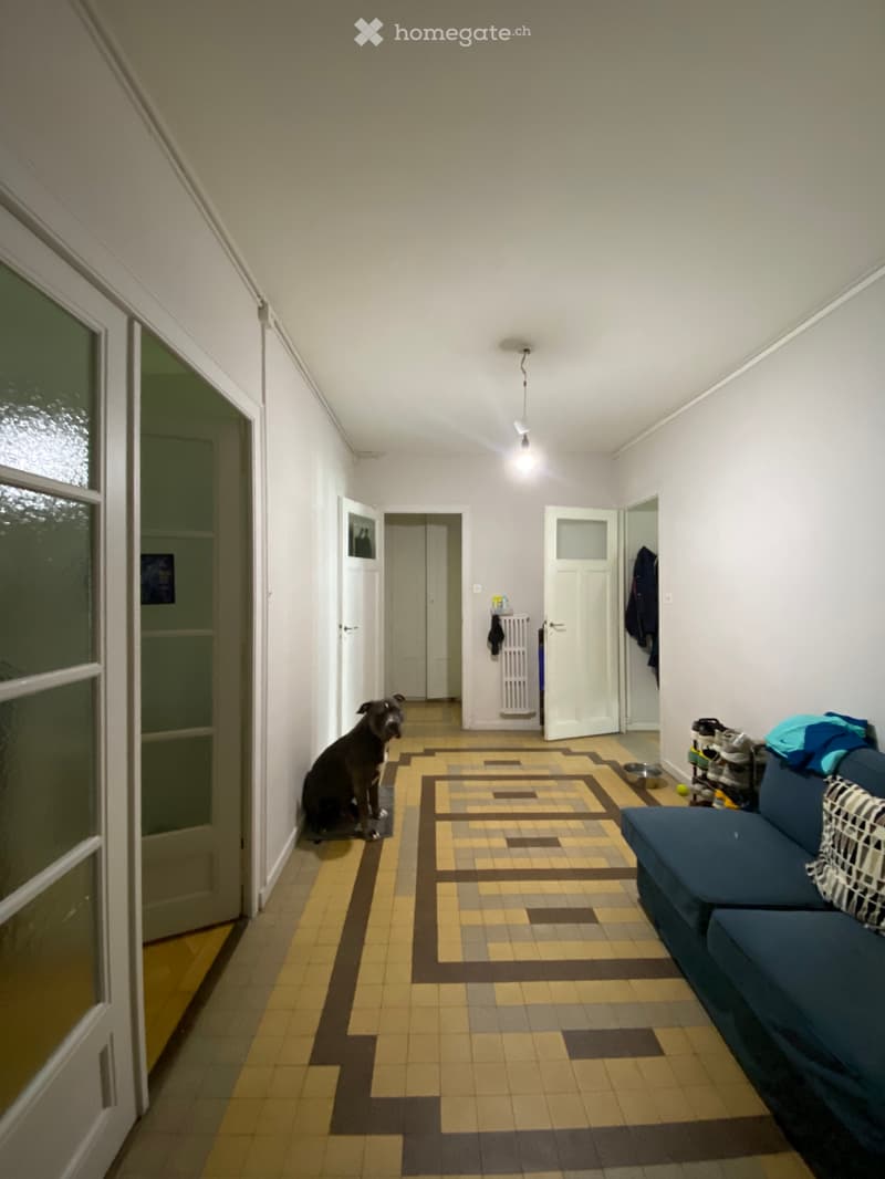 Grande chambre | Genève | 1-14 juillet 2026 (4)