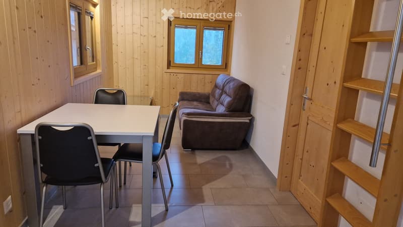 Appartement 2,5 pièces à Lourtier (2)