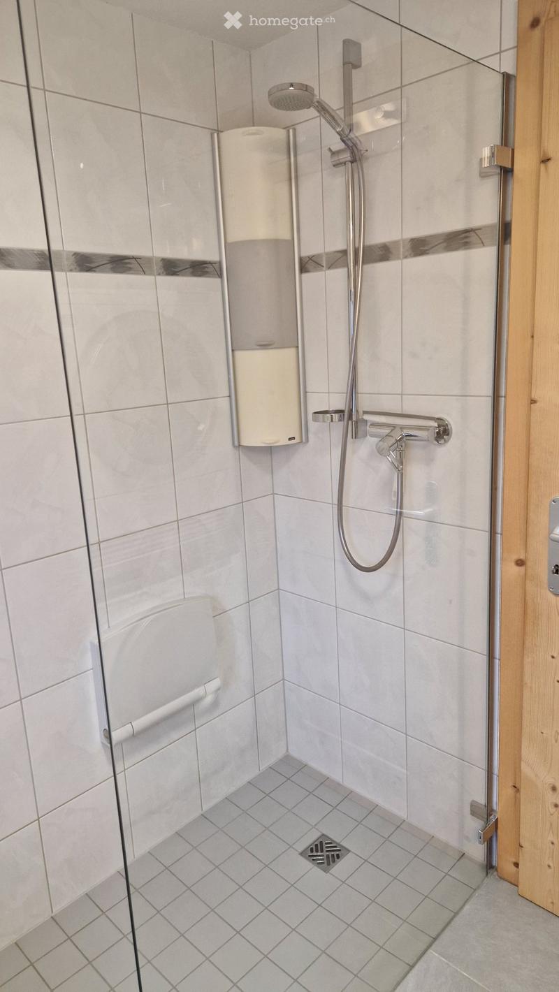 Appartement 2,5 pièces à Lourtier (4)