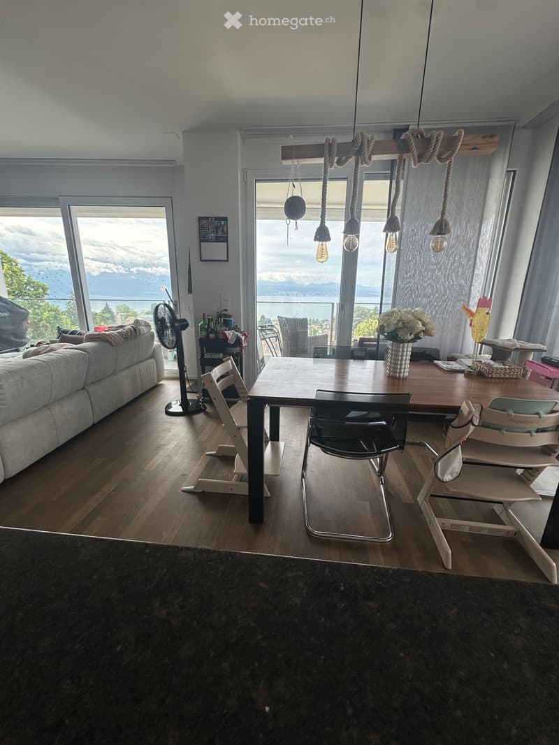 Magnifique Appartement à 5min du CHUV (3)