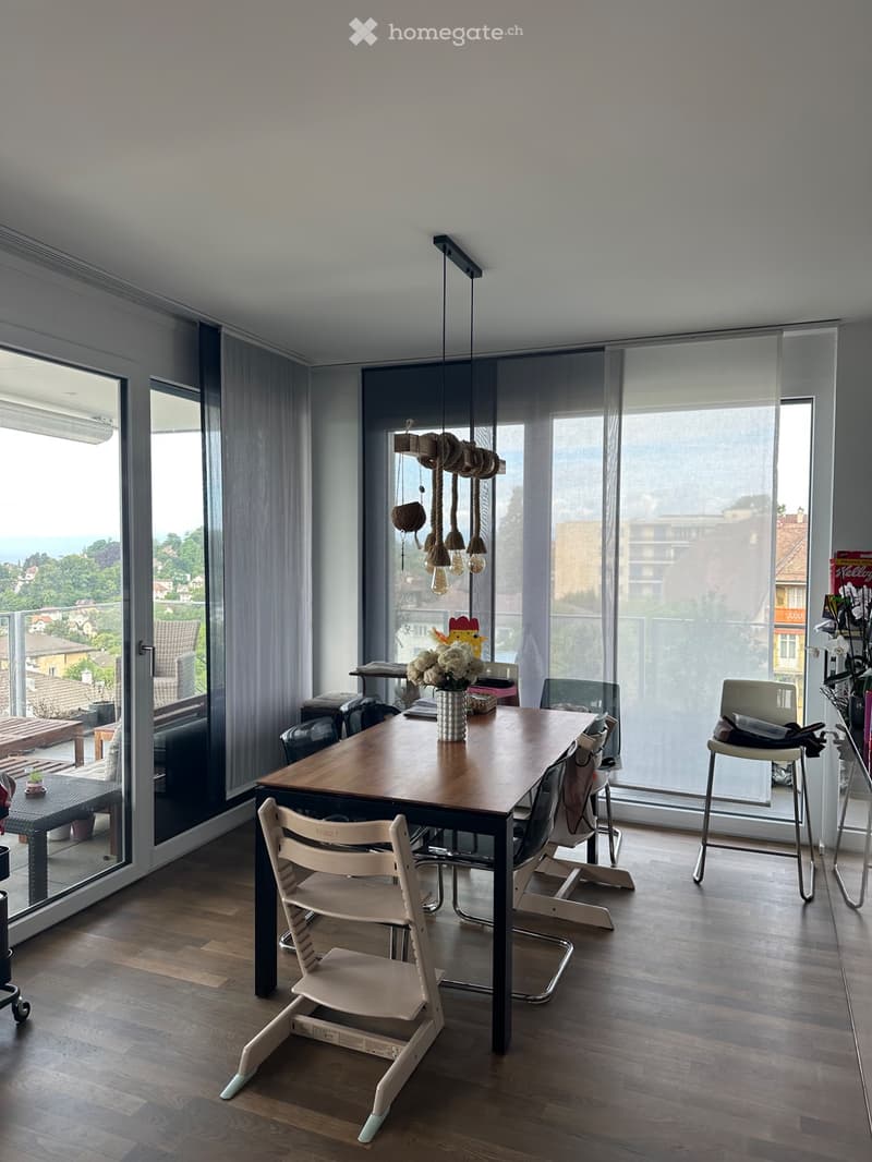 Magnifique Appartement à 5min du CHUV (5)