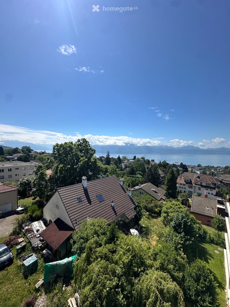Magnifique Appartement à 5min du CHUV (2)