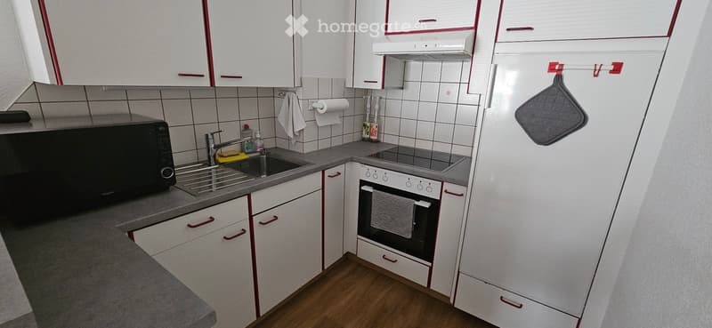 Location appartement 2 pièces avec terrasse (3)